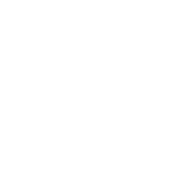 Alamtri Resources Indonesia (Adaro)
