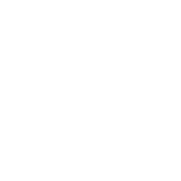 Central Bank of Indonesia