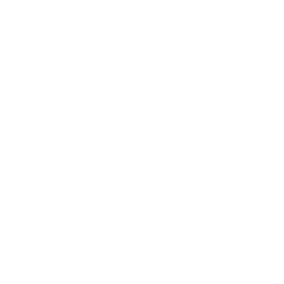 bank indonesia