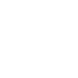 bank bri