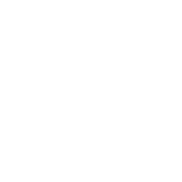 dsng