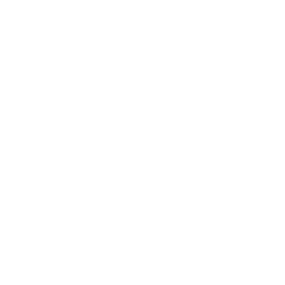 toyota-astra motor