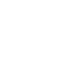 chandra asri